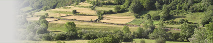 PHOTO - Biodiversity in Agricultural and Forest Ecosystems