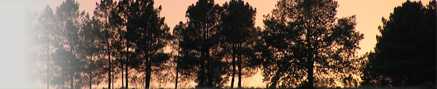 PHOTO - Ecological Design and Landscape Architecture
