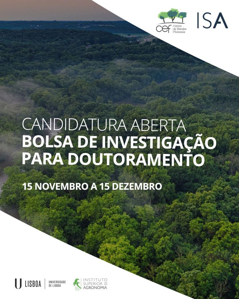 Aviso de Abertura do Concurso para Atribuição de Bolsa de Investigação para Doutoramento