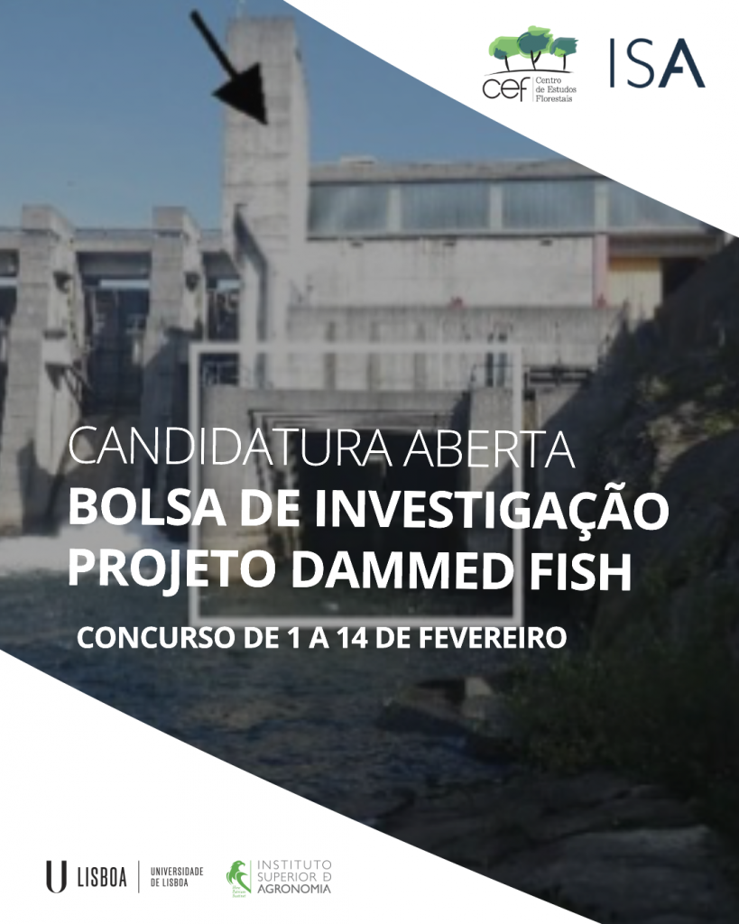 Aviso de concurso para bolsa de investigação - Projeto Dammed Fish