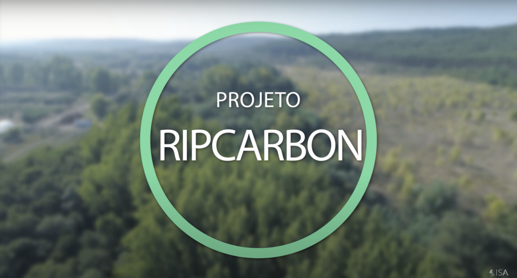 CEF calcula o stock de carbono das galerias ribeirinhas com recurso a tecnologia de ponta