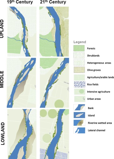 CEF paper on the morphological diversity of the Portuguese Tagus River in the last 150 years