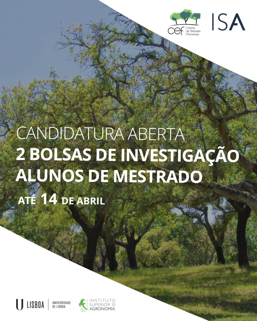 bolsas alunos de mestrado