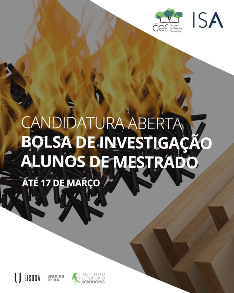 Aviso de concurso para bolsa de investigação – Projeto CLEANPELL