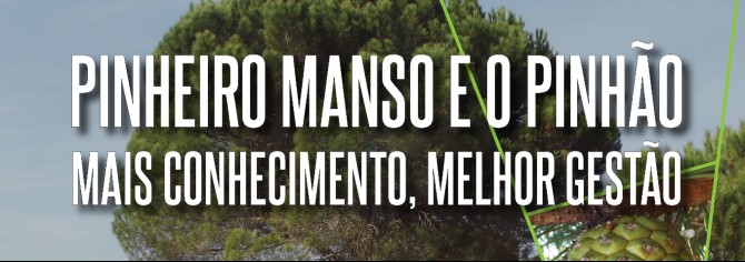 Pinheiro Manso e Pinhão – Mais conhecimento, melhor gestão