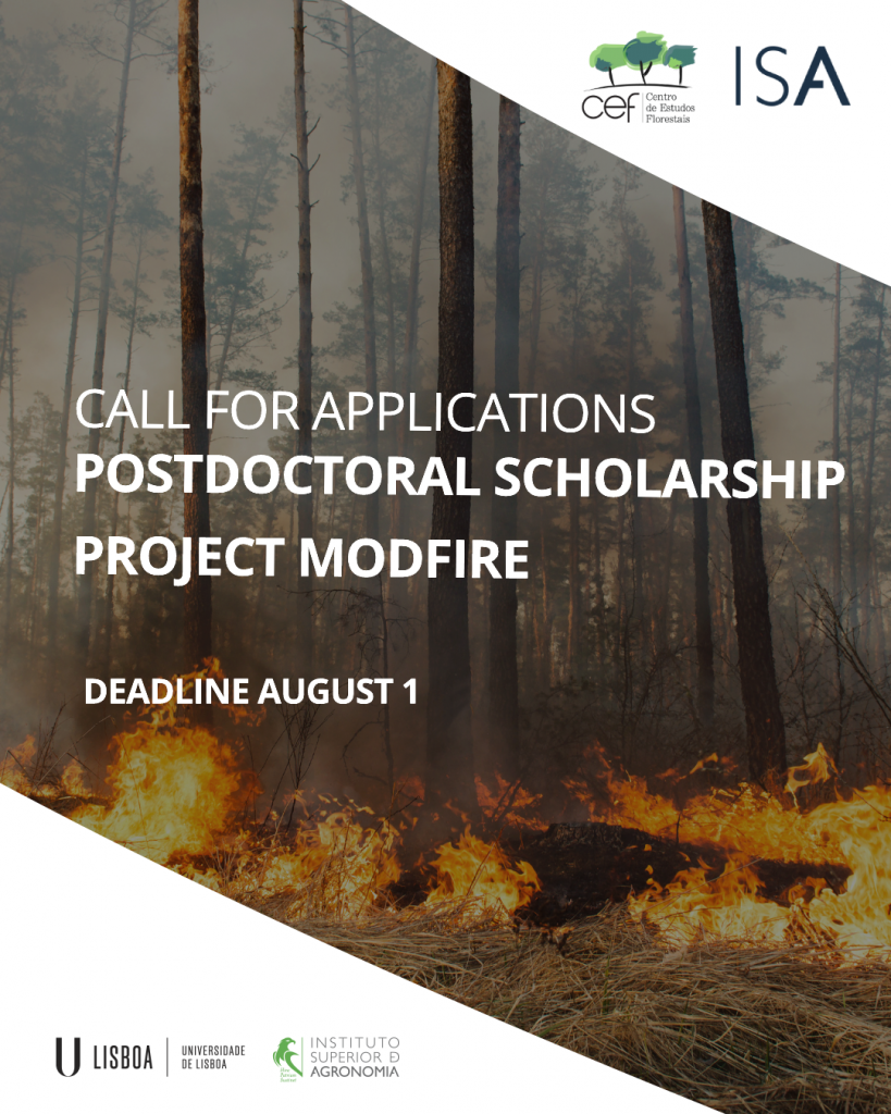 Call for applications for a Postdoctoral scholarship - Project MODFIRE