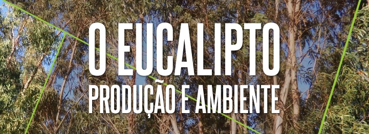 O Eucalipto: produção e ambiente