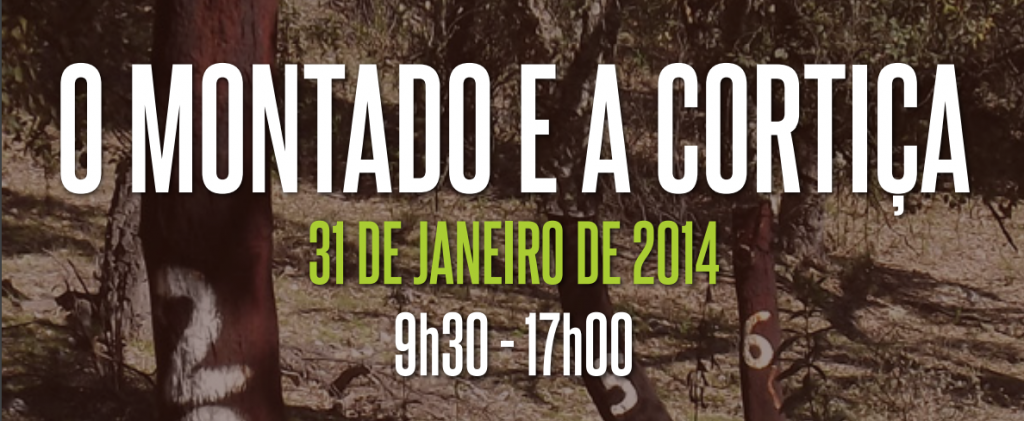 O Montado e a Cortiça
