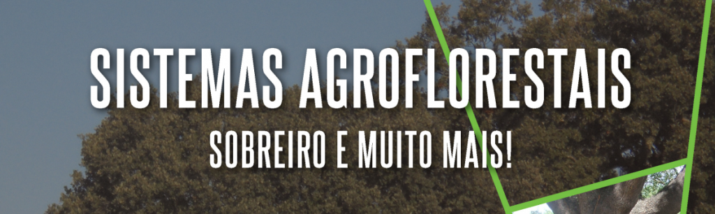 Sistemas agroflorestais: Sobreiro e muito mais!