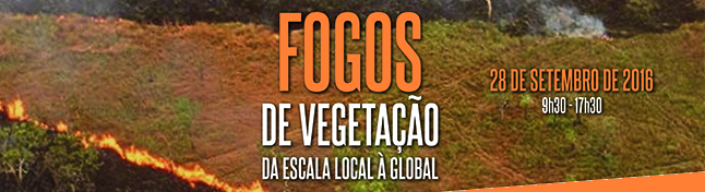 Fogos de vegetação: da escala local à global