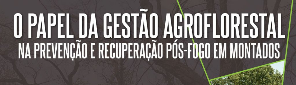 O Papel da Gestão Agroflorestal na Prevenção e Recuperação Pós-Fogo em Montados