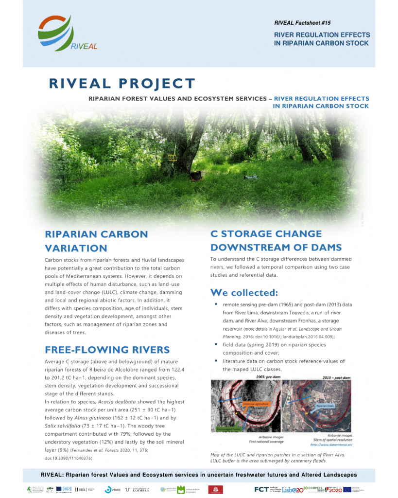 Project RIVEAL releases new fact sheet - River regulation effects in riparian carbon stock