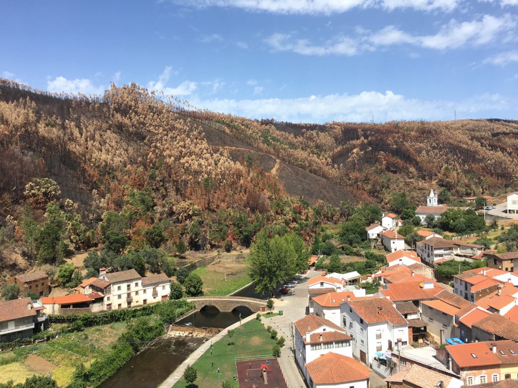 "Alvares – um caso de resiliência ao fogo”