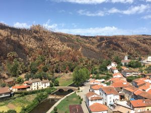 "Alvares – um caso de resiliência ao fogo”