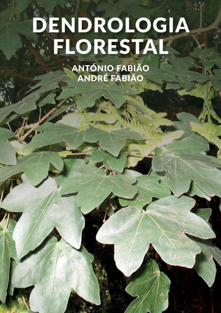 Dendrologia Florestal - ebook gratuito