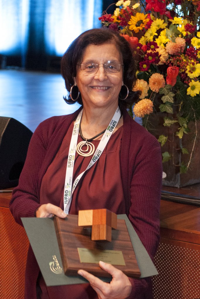 Investigadora do CEF, Margarida Tomé, recebe prémio IUFRO “Distinguished Service Award”
