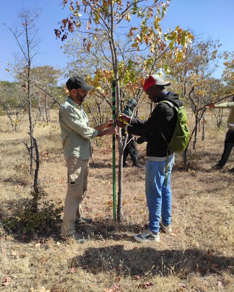 Trabalho de campo | Angola