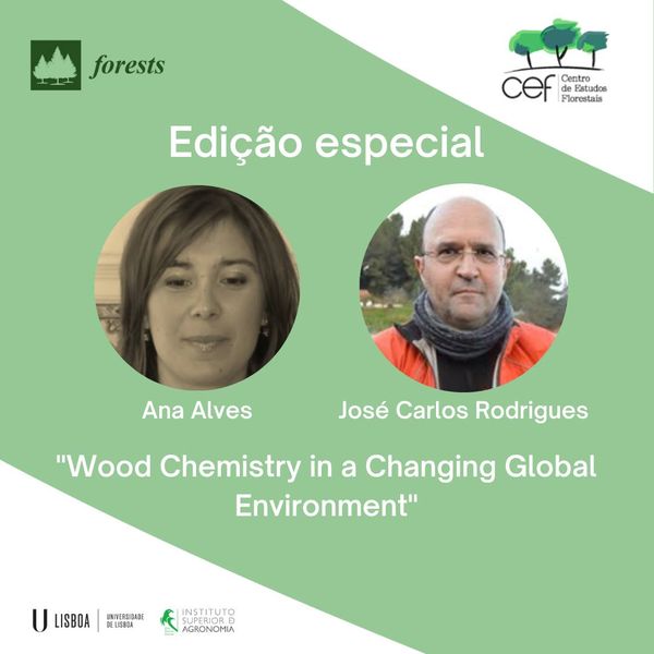 Investigadores CEF são editores convidados na revista Forests