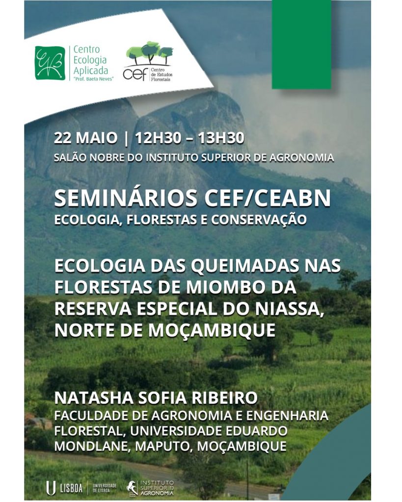 Ecologia das Queimadas nas Florestas de Miombo da Reserva Especial do Niassa (REN), Norte de Moçambique