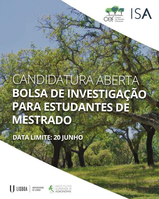 Aviso de abertura de concurso para bolsa de mestrado - Projeto FWUME