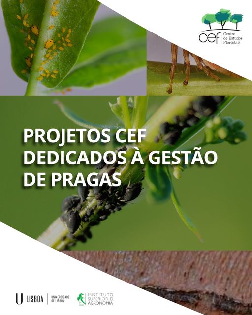 Projetos relacionados com o controlo de pragas