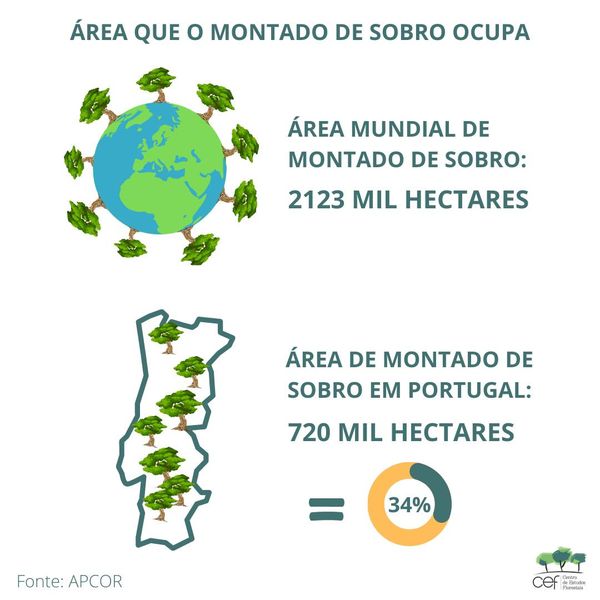Dia Nacional do Sobreiro e da Cortiça | 1 JUNHO
