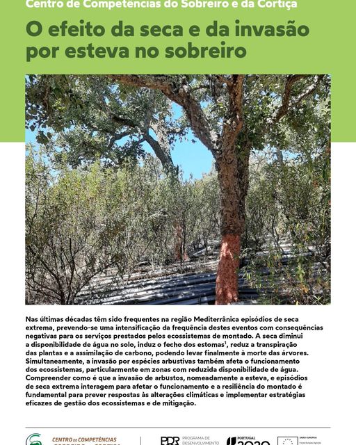 "O efeito da seca e da invasão por esteva no sobreiro"
