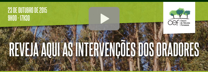 Reveja aqui as intervenções dos oradores