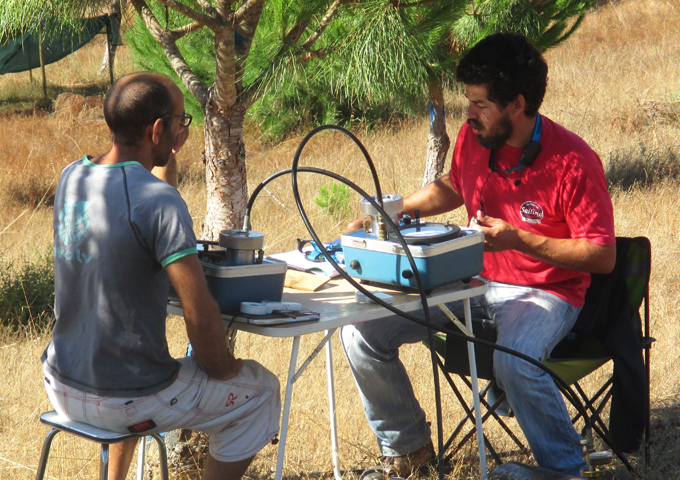 Forest simulators and decision support systems