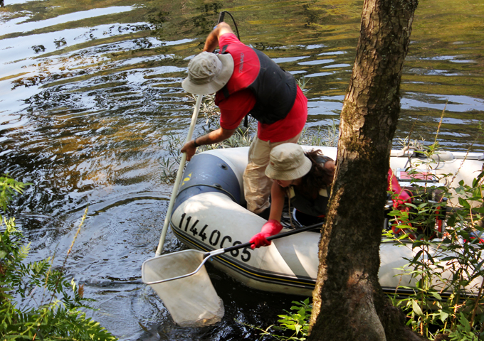 Management of riparian ecosystems and fish populations