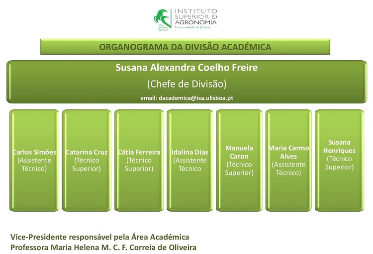 Organograma Divisão Académica