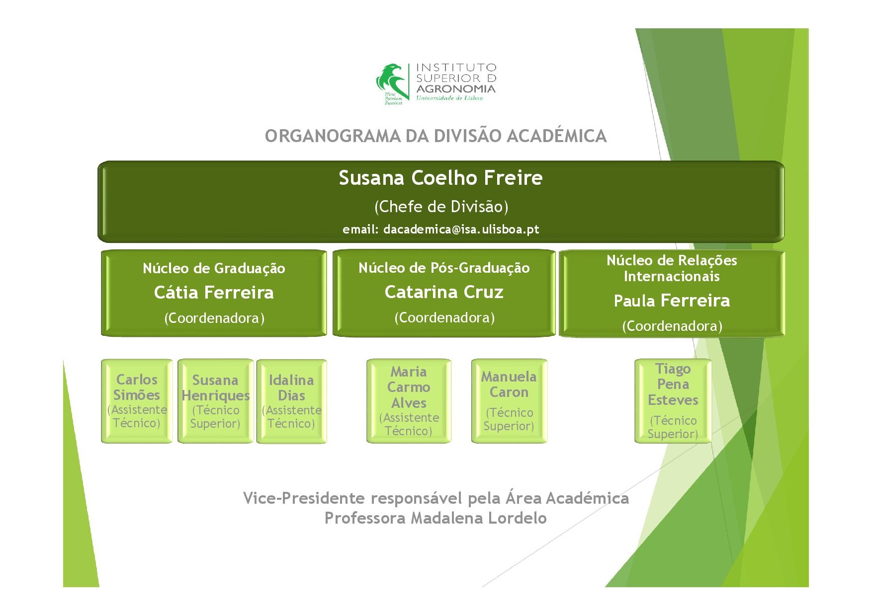 Organograma Divisão Académica