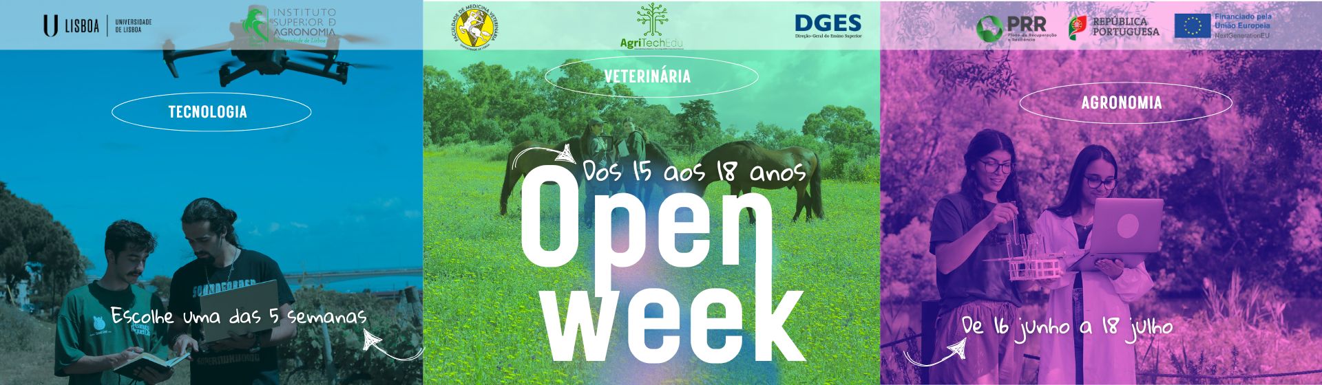 open week 2