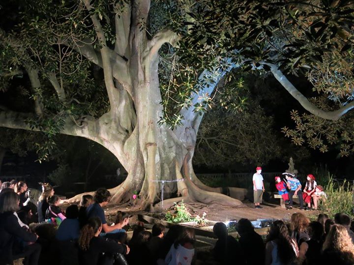Grupo de Teatro Infantil AnimArte