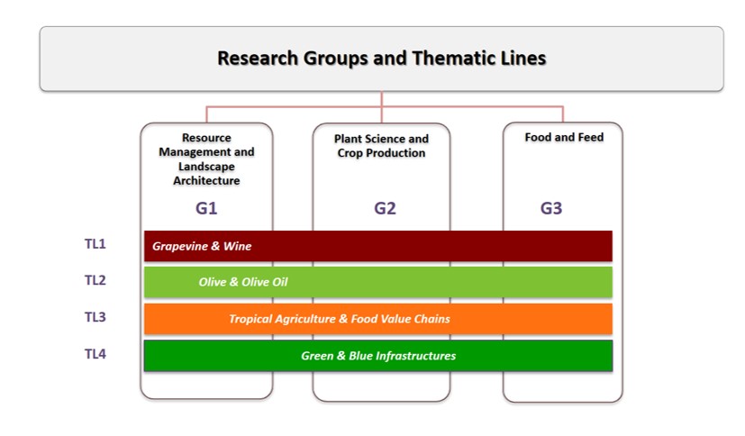 Groups and thematic lines 2018