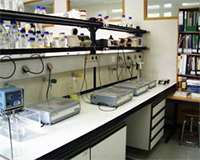 Laboratório de Investigação