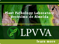 LPVVA