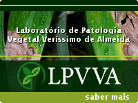 LPVVA