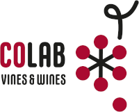 Colab4Food