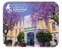 Tapete de Rato ISA - Jacarandás