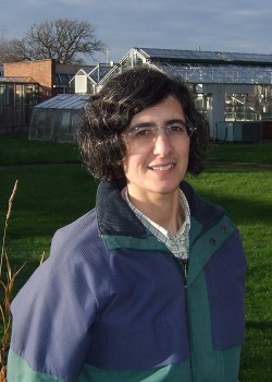 Joana Vicente