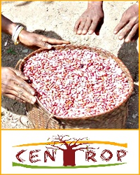 CENTROP