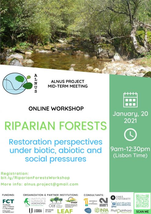 WORKSHOP_ALNUS_1