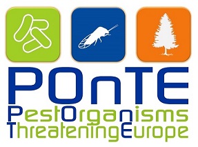 PONTE-LOGO-JPEG-2