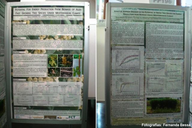 Posters