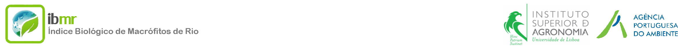 ibmr logo